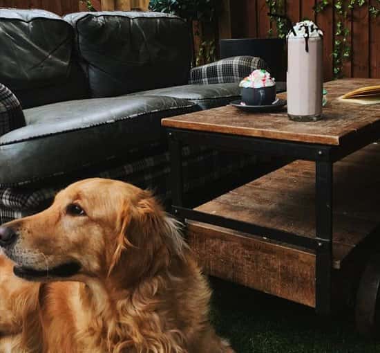 We are dog friendly! Come visit our Secret Garden out the back!