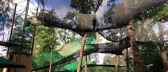 AN ADVENTURE PLAYGROUND UP IN THE TREES - Just £20.00!
