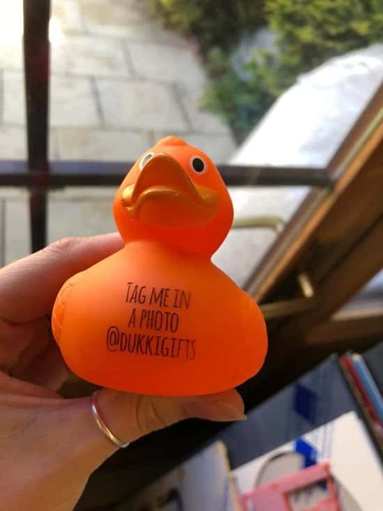 10 ducks are sat in 10 different places in Nottingham, find them, and take a picture!