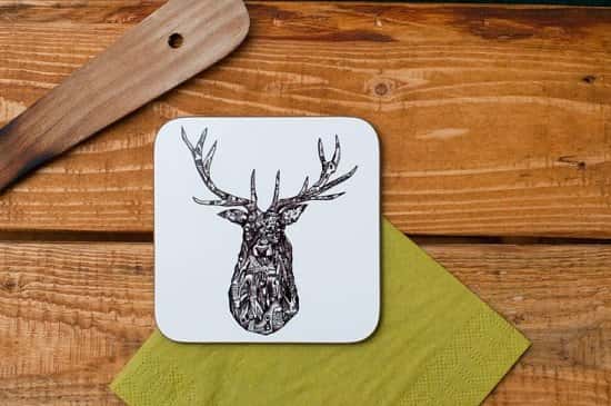 Animal Coasters are Back in Stock.