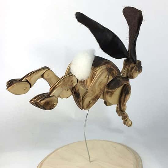 This beauty is in with us now - A large hare with the most beautiful ears and tail!