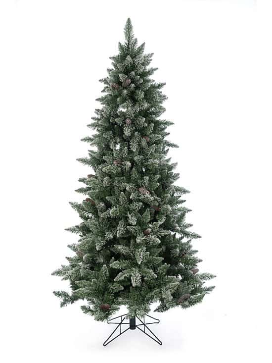 Save up to 30% on Christmas Trees