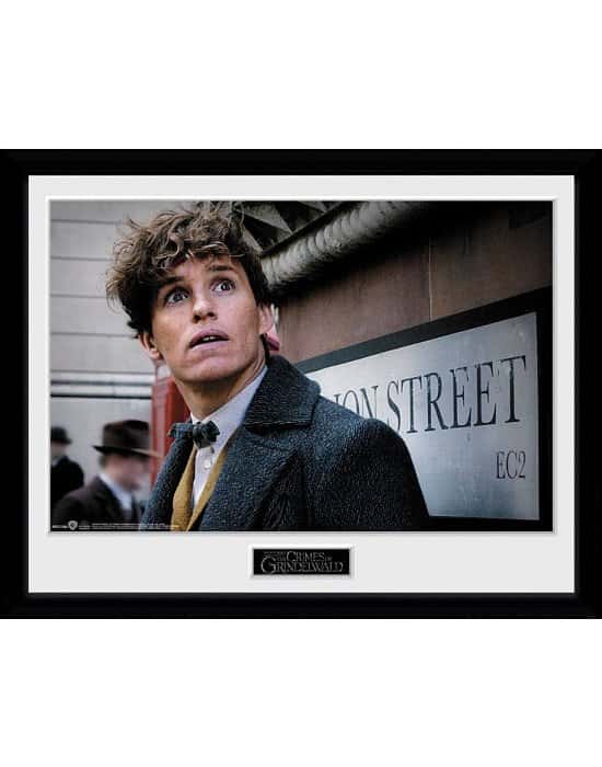 SALE, SAVE ON POSTERS - FANTASTIC BEASTS 2 NEWT SCAMANDER COLLECTOR PRINT!