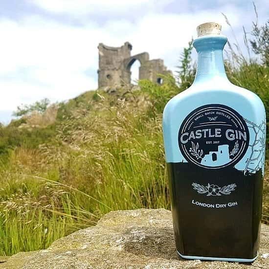 SAVE £7.00 on Castle Gin!