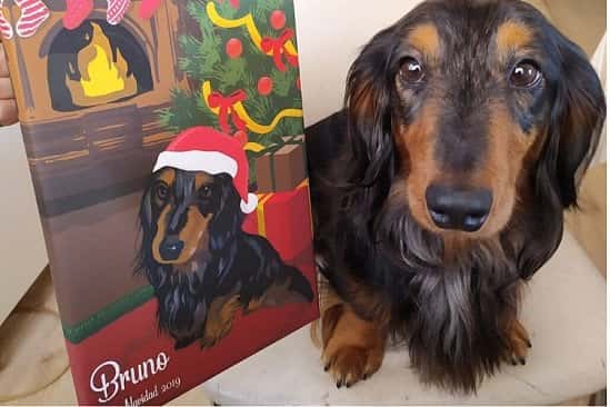 Custom Pet Portrait Canvas - Christmas Edition (20% OFF)