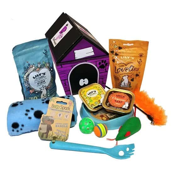 WIN the Ultimate Cat Treat and Toy Hamper!
