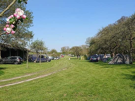 Book Bredy Farm Camping for just £14.00 per night per adult!