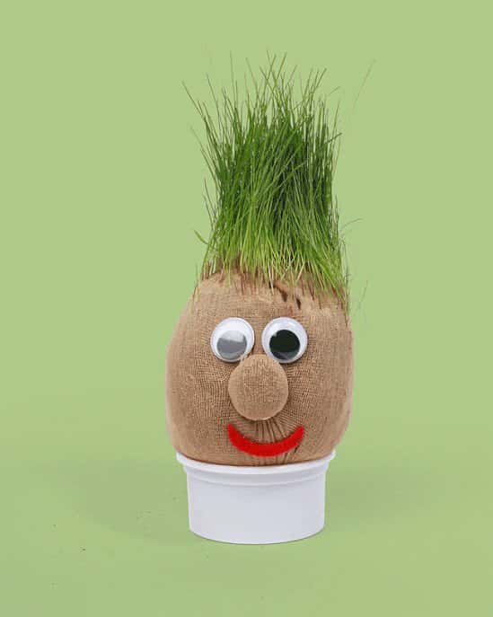 Have Fun Staying Home - Mr Grasshead: £5.99!