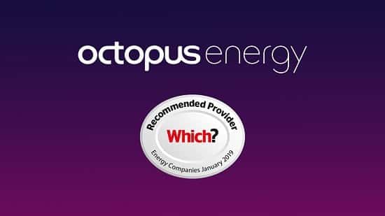 Save hundreds of pounds a year with Octopus Energy compared to the average Big 6 energy tariff
