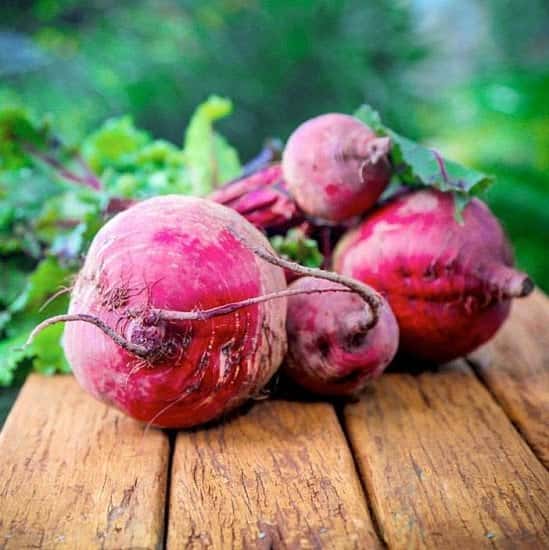 Beetroot Plants - Boltardy: £7.99!