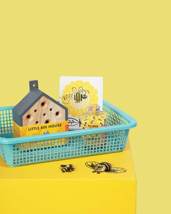 'Bee Happy' Surprise Treat Box - £25.00!