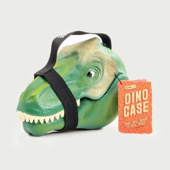 BACK TO SCHOOL - Dinosaur Lunch Box: £20.00!
