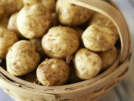 NEW POTATOES, Cold in salad or hot with melted butter?