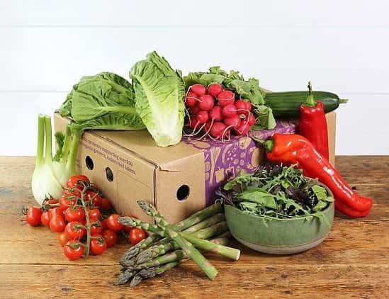Summer Salad & Veg Box, Organic - £15.00!