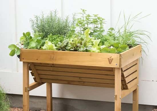Create your own culinary herb garden that looks almost too good to eat!