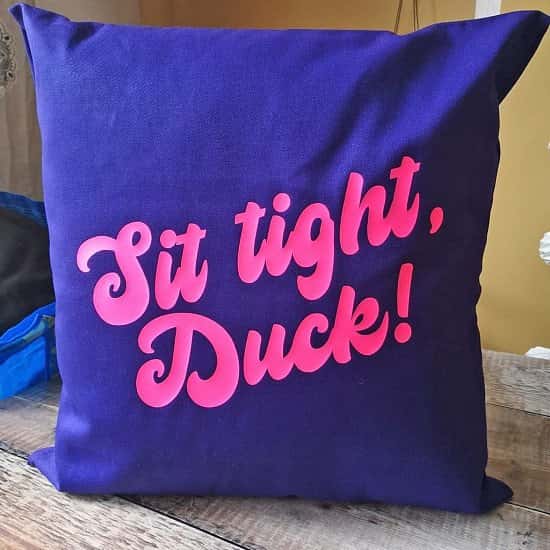 Sit Tight, Duck! Cushion - £20.00