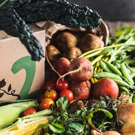 Organic Seasonal veg box, medium - £15.35!