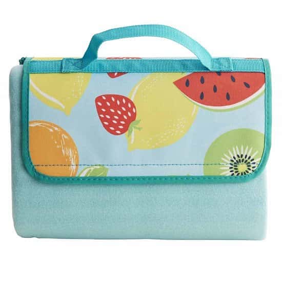 Perfect for National Picnic Month - Wilko Fruits Rug: £8.00!