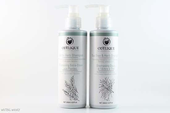 20% OFF - Odylique Hair Shampoo Gentle Herb Shampoo 200ml