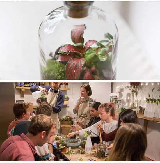 London Terrariums are Putting on a Workshop here at WIRED