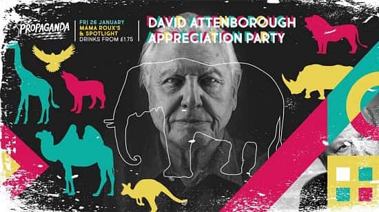 Propaganda - David Attenborough Appreciation night
