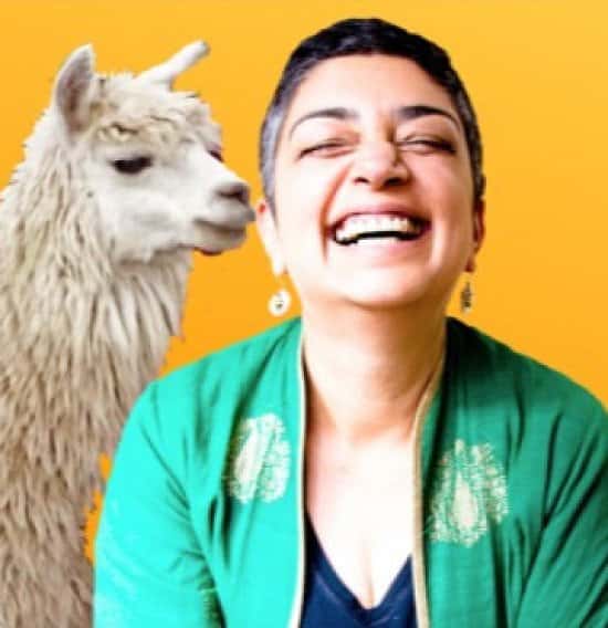 On The Cusp present SAMEENA ZEHRA: HOW NOT TO STEAL A LLAMA