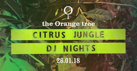 Citrus Jungle Nights / Wedgeman x Bricstoc DJ Set