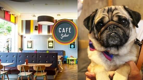 Pug Cafe Nottingham