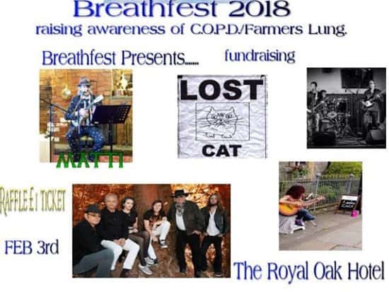 Breathfest Live Music Fundraising Event