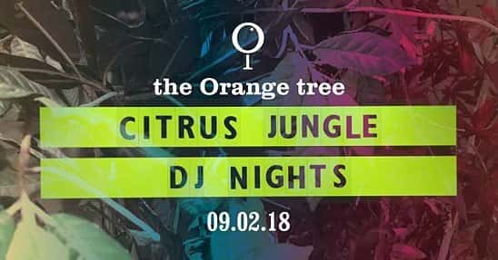 Citrus Jungle Nights / Louis Knight DJ set sponsored by Jager