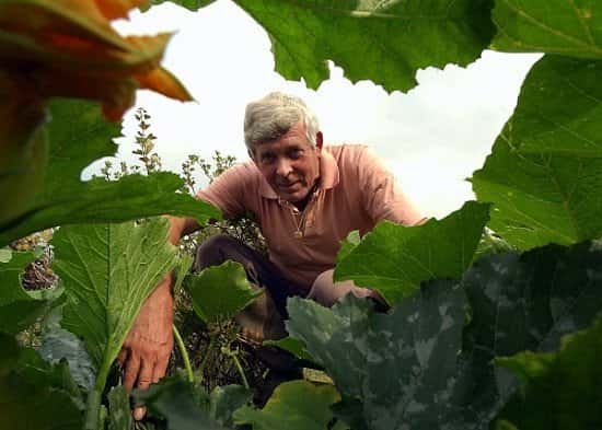 LIVE SHOW - Terry Walton: Allotment Tips from the Jeremy Vine a