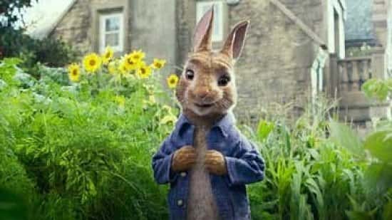 Film: Peter Rabbit (TBC)