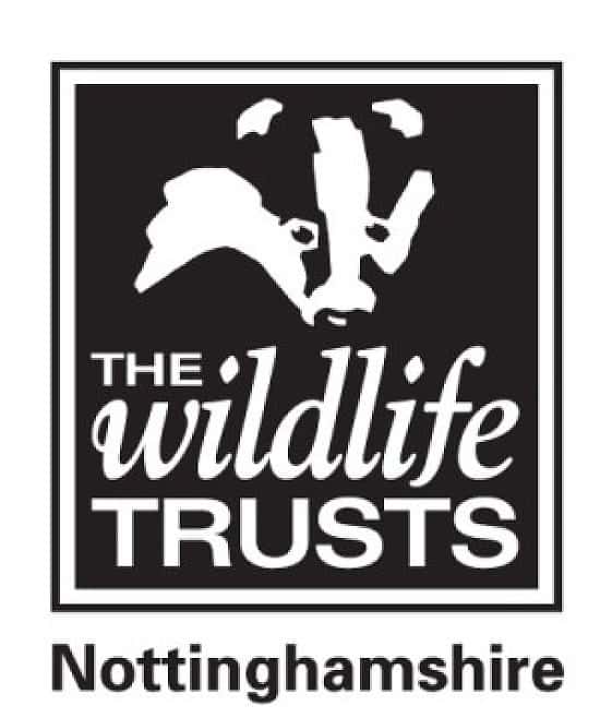 Wildlife Trust #youthquake word mash-up