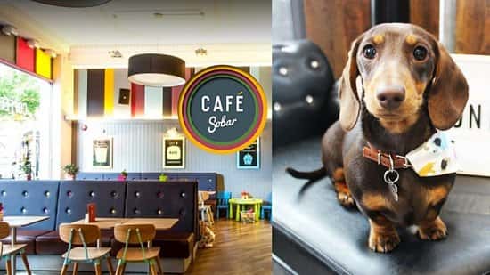 Pug Cafe presents: Dachshund Cafe Nottingham