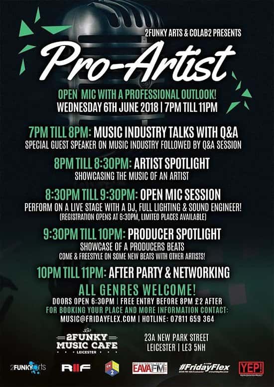 Pro-Artist: Open mic with a professional outlook!