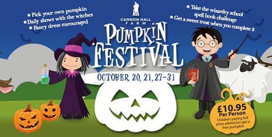 Pumpkin Festival and Wizardry School