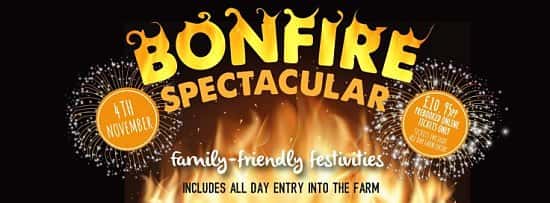 Bonfire Spectacular 2018