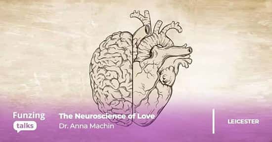 The Neuroscience of Love