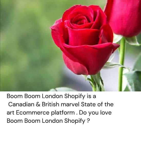 Boom Boom London Shopify Ecommerce Platform