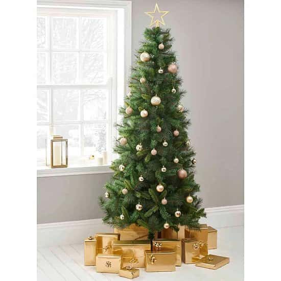Up to 25% OFF Selected Christmas Trees
