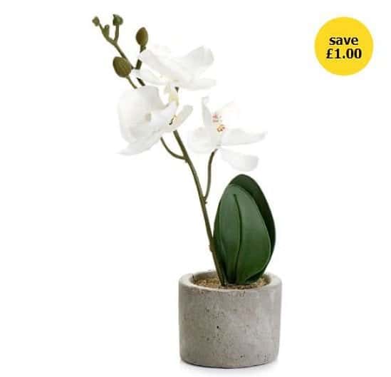 Home Accessories Sale - Wilko Artificial Mini Orchid in Cement Pot!