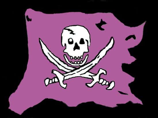 http://purple-pirate-flag.myshopify.com/ Is Open for Business