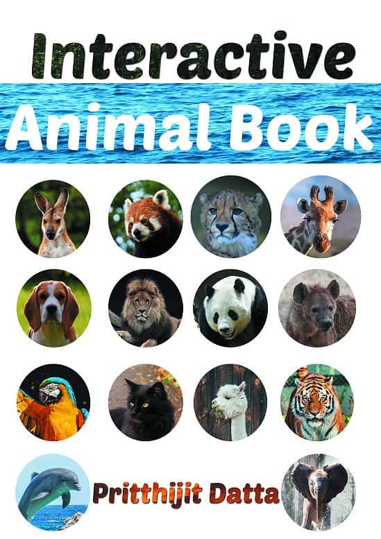 Animal Interactive Game book