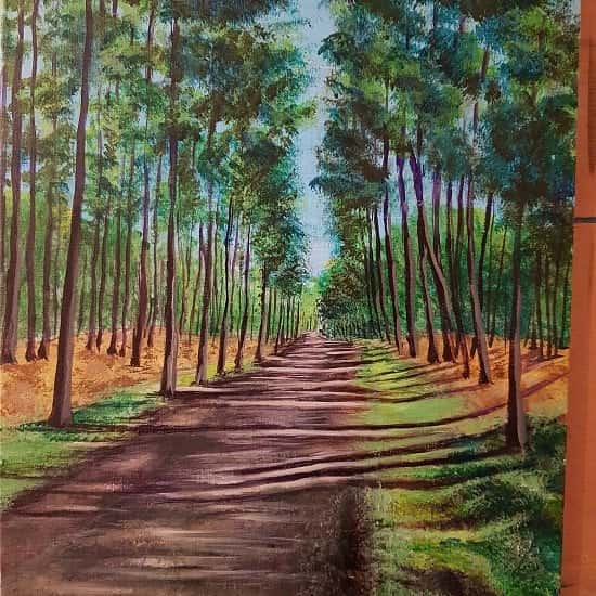 Limited edition Artist's original canvas print 'Black Park Walk' PROMO PRICE £45
