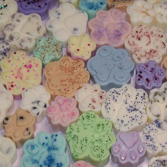 New Product - Paw Prints Wax Melts - 10% Off
