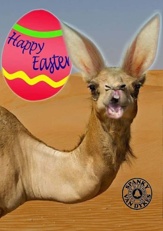 Spanky’s Big Ass Easter Quiz starts tonight at 8pm! Boozy Easter goodies to be won!