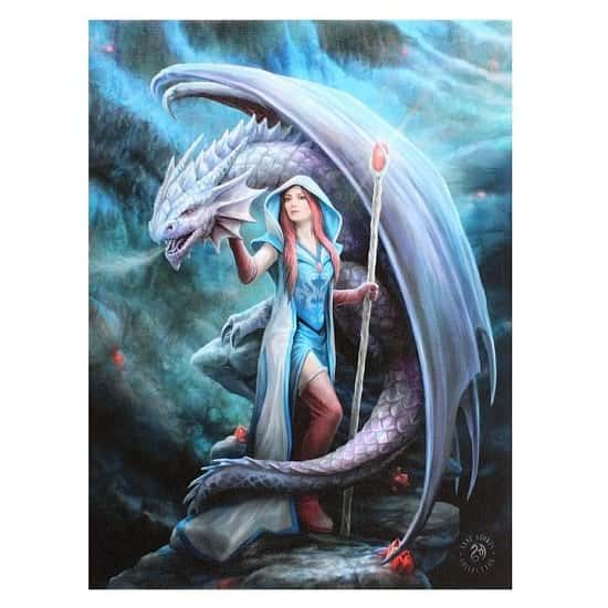 19x25cm Dragon Mage Canvas Plaque