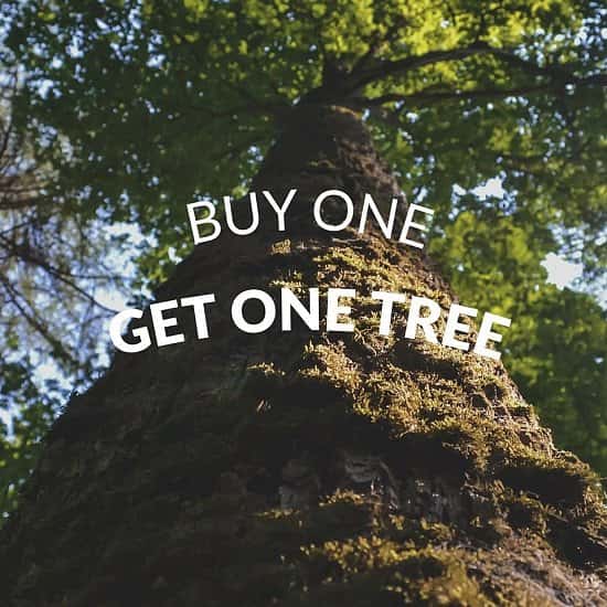 Buy One Get One Tree!
