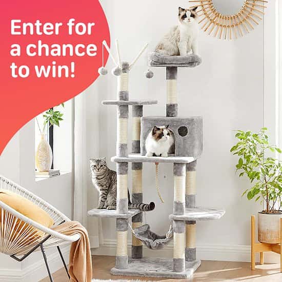 WIN the Ultimate Cat Tower