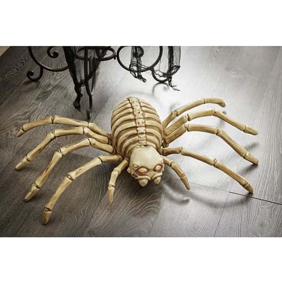 NEW FOR HALLOWEEN - Wilko Skeleton Spider £5.00!